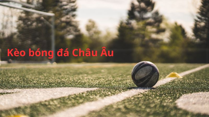 Kinh nghiệm đặt kèo châu Âu Kubet