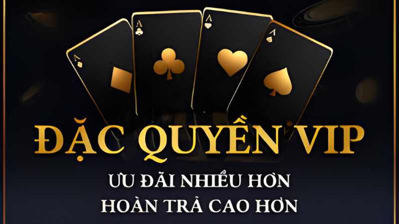 Những thành viên được hưởng đặc quyền VIP nhận mức hoàn trả hàng ngày cao